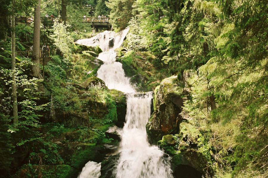 Wasserfälle, Wanderurlaub, Schwarzwald, Natur, Ferienwohnung