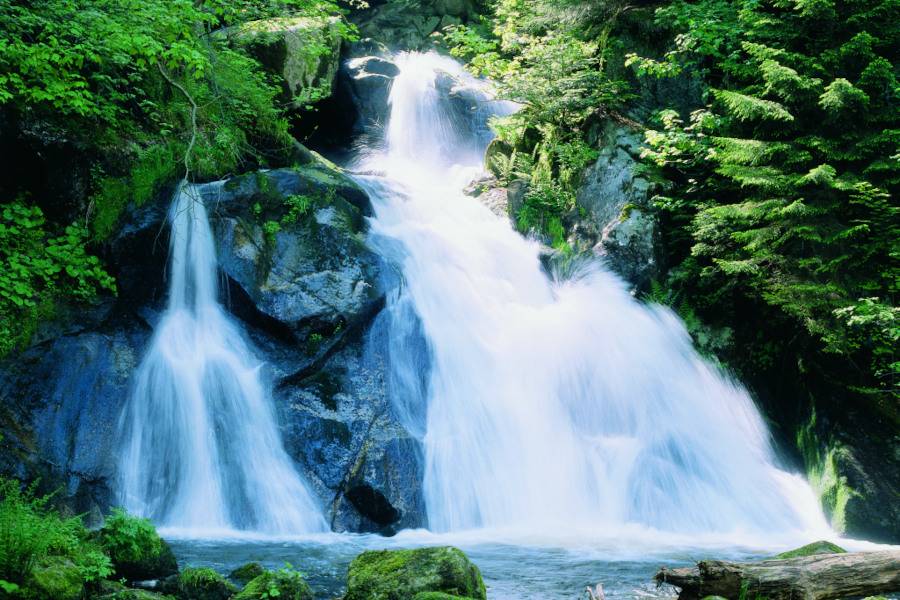 Wasserfälle, Wanderurlaub, Schwarzwald, Natur, Ferienwohnung