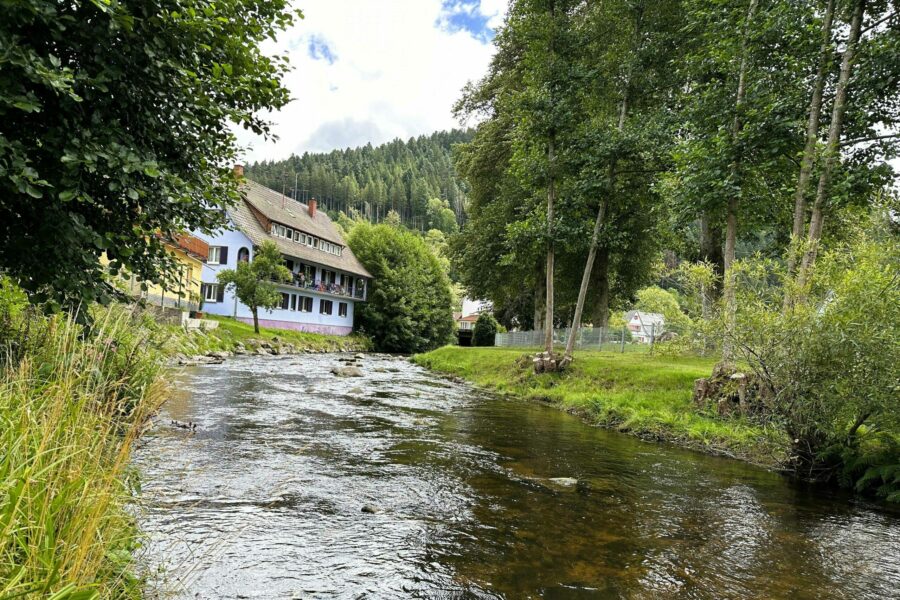 Kinzig direkt an der Ferienwohnung Kinzig-Chalet in Schenkenzell