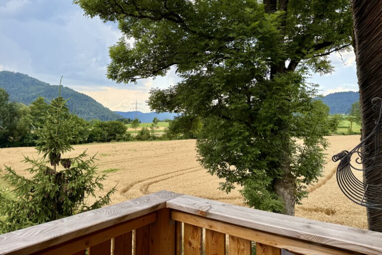 Der Balkon mit herrlichem Blick ins Kinzigtal