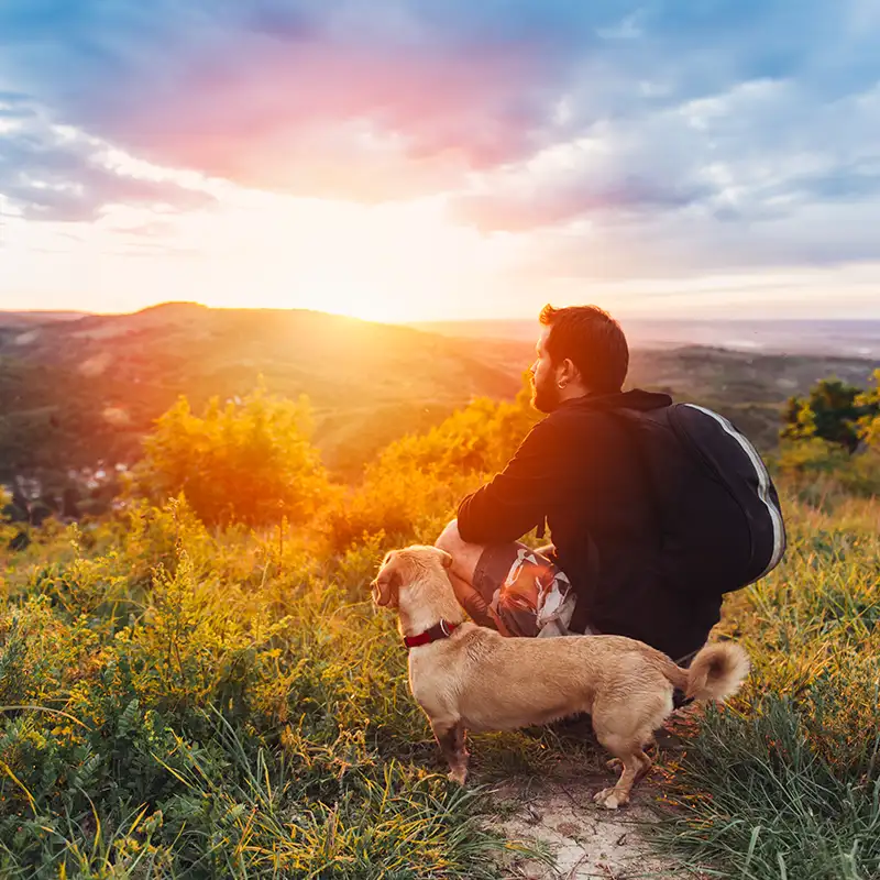 Urlaub mit Hund im Schwarzwald - shutterstock.com - Zivica Kerkez