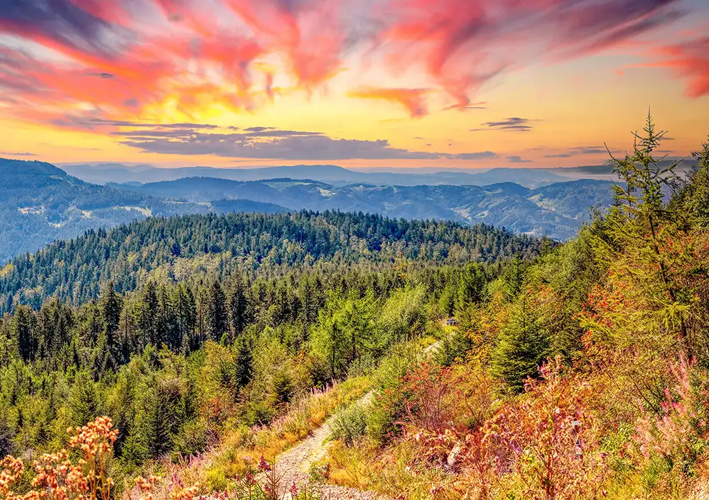 Wandern zum Teisenkpf im Schwarzwald - shutterstock.com - Sina Ettmer Photography