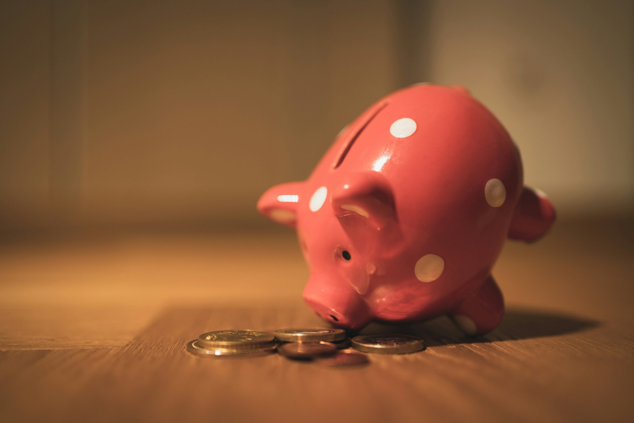 VolksbankSparschwein scaled Einkaufsmöglichkeiten Loßburg